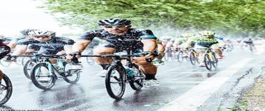 体育赛事市场调研与分析