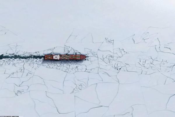 高考体育项目：哪些项目更容易加分？(图1)